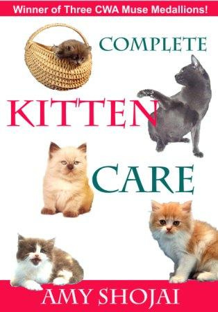Kittencovernewlores