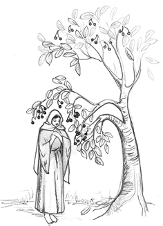Drawing of Mary and cherry tree