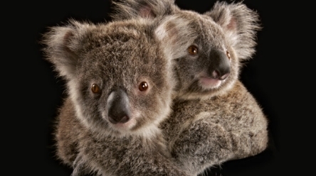  photo 16431c81-634b-4360-beb5-e071aa810f05_zpsc19f3688.jpg