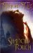 Shadow Touch (Dirk & Steele, Book 2) by Marjorie M. Liu