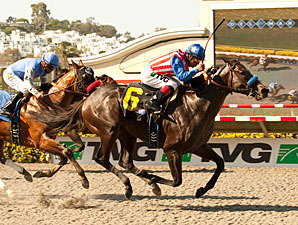 Fed Biz Blazes to Track Record in Pat O'Brien