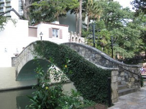 IMG_rw1799