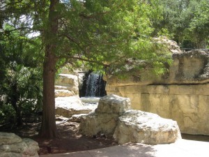 IMG_hp1784
