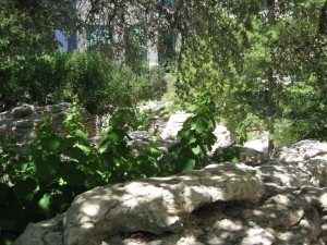 IMG_hp1786