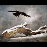 Crow and Tree - Heaven and Earth in Winter