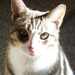 Hard to believe such an angelic face belongs to such a BAD KI... on Twitpic