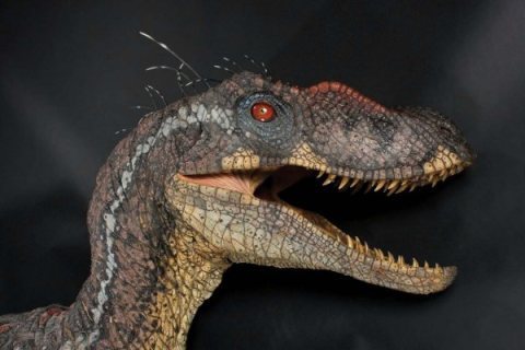 A Hollywood velociraptor