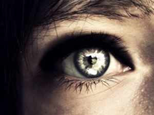 1011934_379373332168981_606847322_n