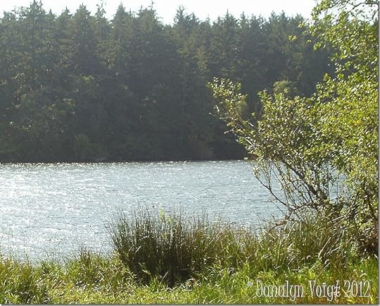 Lake at Fort Stevens State Park