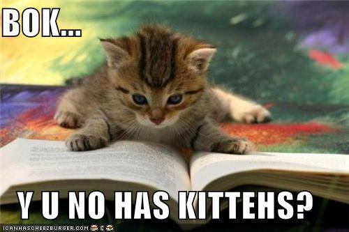 http://icanhascheezburger.com/2010/11/29/funny-pictures-itteh-bitteh-contest/
