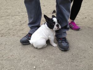 The calm before the storm. This little guy could sense something was up.