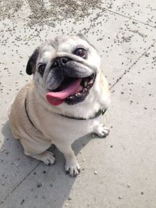 Bubba in happier, sunnier times. Saturday afternoon to be exact.