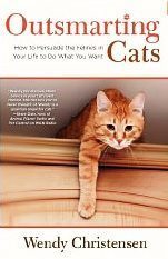 outsmarting cats