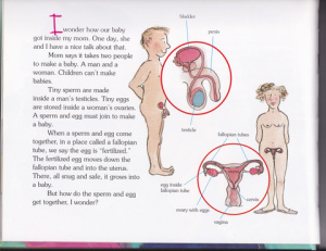 An interior illustration from MY MOM'S HAVING A BABY.