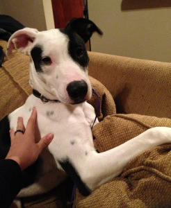 Why yes, I *am* suave.