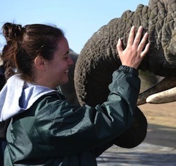 Alison Palmer adventures with elephants South Africa A Taste of South Africa with EcoLife Expeditions and Vets in the Wild