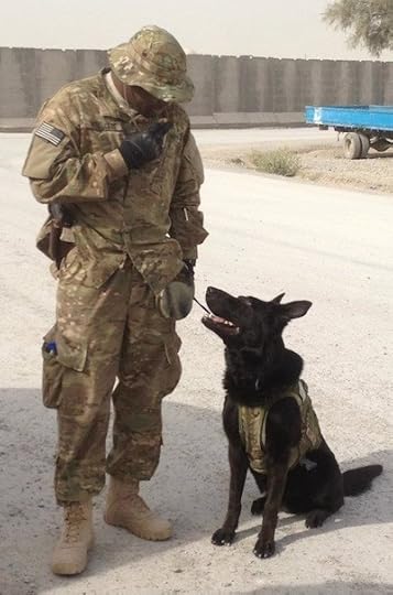 Leroy Williams Dinomt Afghanistan Army Veterinarian: Military Working Dog Dies in Afghanistan