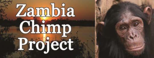 Zambia Chimp Project featured Zambia Chimp Project: Unique Opportunity for Vets & Students in Primate Medicine