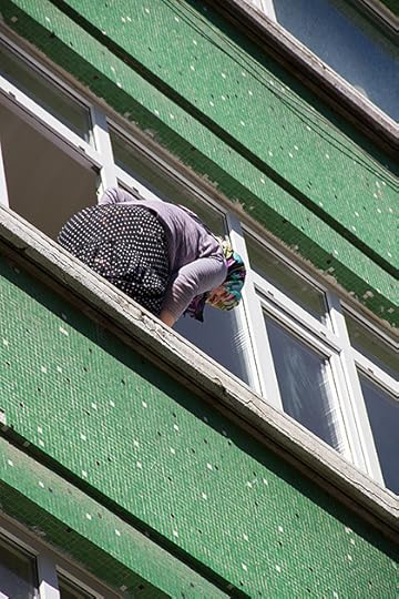 Panic-Window-Cleaner