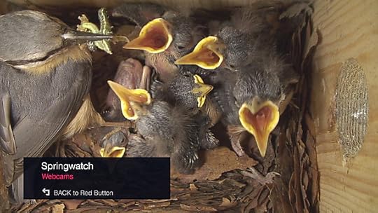 springwatch_1024.jpg