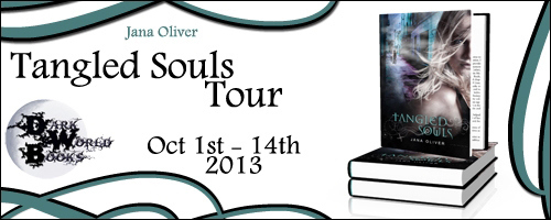 2013-TangledSoulsTourBanner