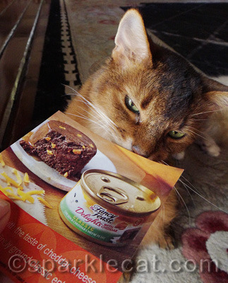 Smells like Fancy Feast with Cheddar!