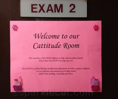 Cattitude? I'll be the judge of that.