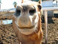 Post image for Be Friendly