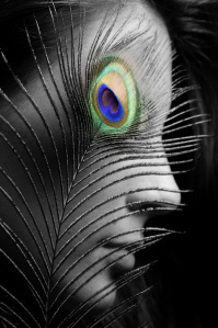 Peacock Eye by Diego Camejo