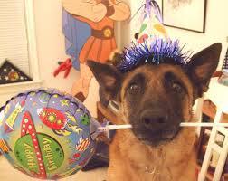 Birthday Pup