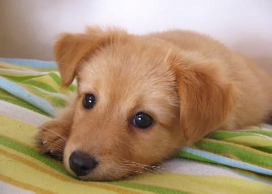 Click to visit the original post