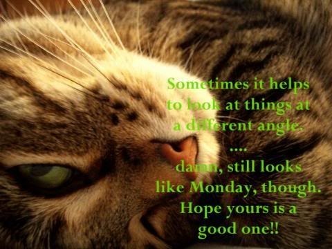 Different View of Monday Pictures, Images and Photos