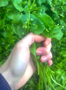 2013-04-13_17-20-12_109