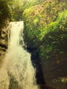 jungle waterfall