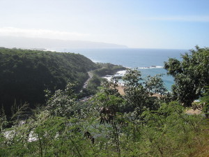 The view from the Heiau down to Waimea Bay.