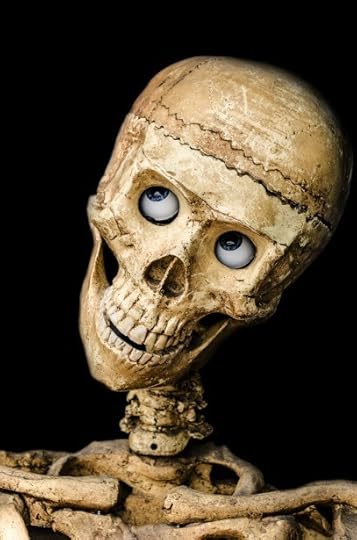 skull looking up