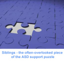 MissingPuzzlePiece