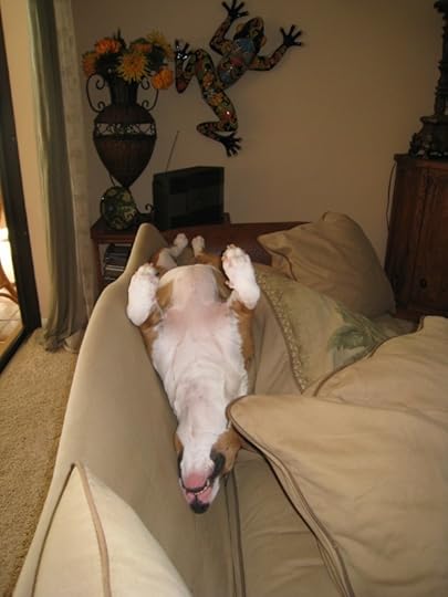 the divine one taking her siesta