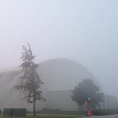 Cassell Coliseum. Foggy morning.
