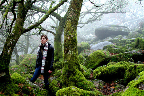 Wistman's Wood