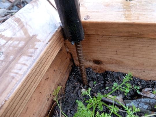 Placing scrap irrigation pipes over the rebar on either side of the beds, making a hoop