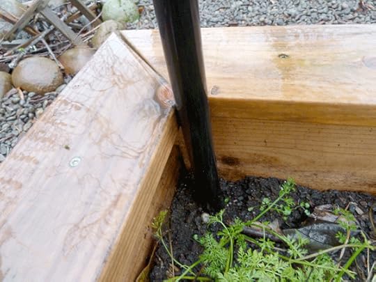 Rebar in place securing irrigation pipes, creating hoops over the beds