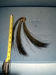 The proof is in the pudding. These are the three beards of brother Shawn's unofficial world record. 