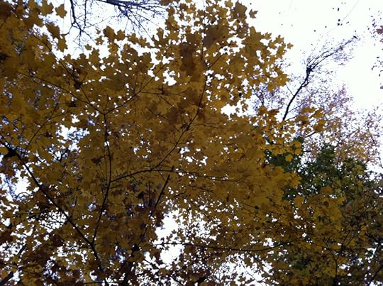 Activate homing signals!