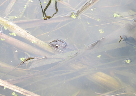 winter 20101-20111 18