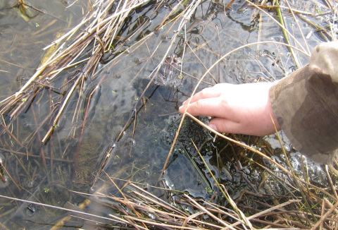 winter 20101-20111 17