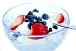 greek yogurt recipe