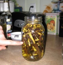 3171793039_93fb7df55c_o