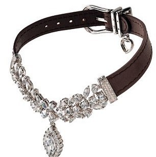 Collar photo diamoncollar_zps1c8030fc.jpg