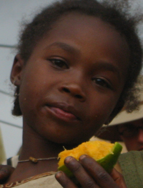 photo credit: Ahron de Leeuw (Flickr)